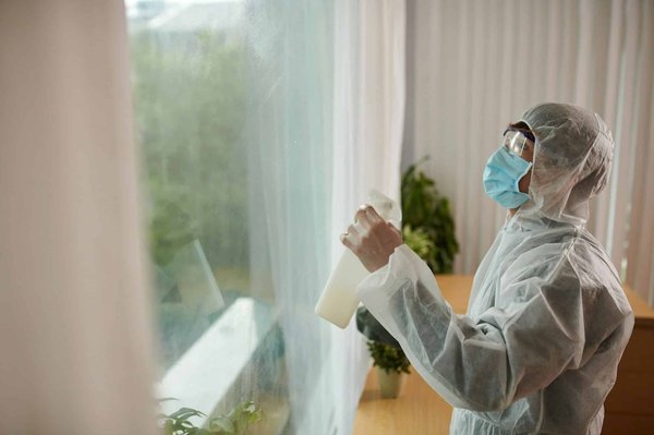 Entreprise anti-nuisible : un allié de taille pour exterminer les nuisibles